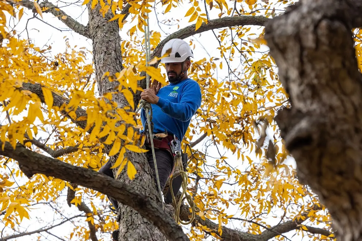 Skilled Storm Damage Cleanup crew working in Waterford